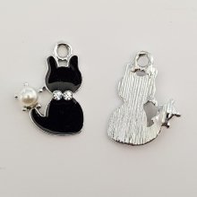Kat Bedel N°13 X 5 Stuks