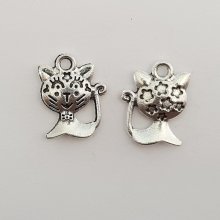 Kattenbedeltje N°15