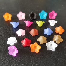 20 Vergeet-me-niet bloemen assorti