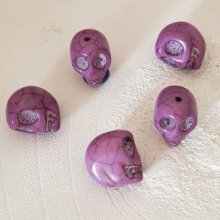 Lot 08 Howliet Getinte Schedels 18 mm