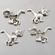 Kattenbedeltje N°21 x 10 stuks