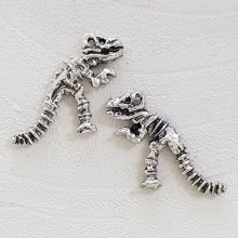 Dinosaurus charme
