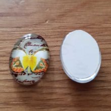 Cabochon Ovaal 13 x 18 mm Vlinder N°04