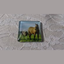 vierkante glazen cabochon 30mm 021 