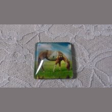 vierkante glazen cabochon 30mm 001 