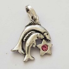 Sterrenbeeld Vissen Bedel Zilver Metaal N°03 met strass steentjes