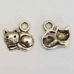 Kattenbedeltje N°09