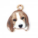 Hond Bedel N°07