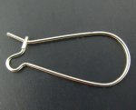 Dormeuse Oorbelhouder 25mm N°06 x 10 Paar