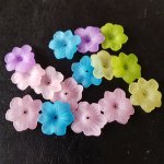 15 Bloemen N°02 assorti