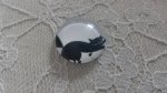 glazen cabochon rond 20mm cat 003 