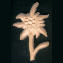Edelweiss onbewerkt gesneden