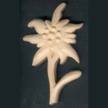 Edelweiss gesneden door de hand gewaxte natuur
