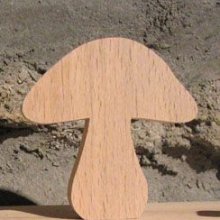 paddestoel plaatskaart bos of natuur thema