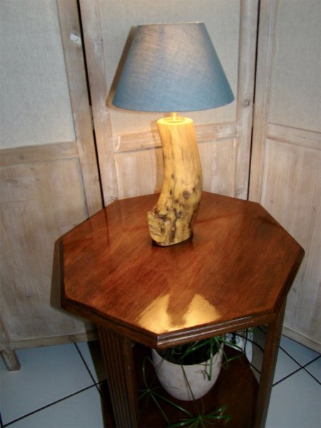 Boslamp, de natuur en haar wonderen 