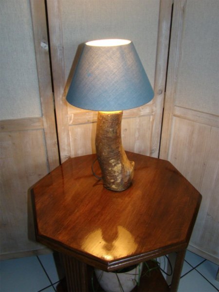 Boslamp, de natuur en haar wonderen 