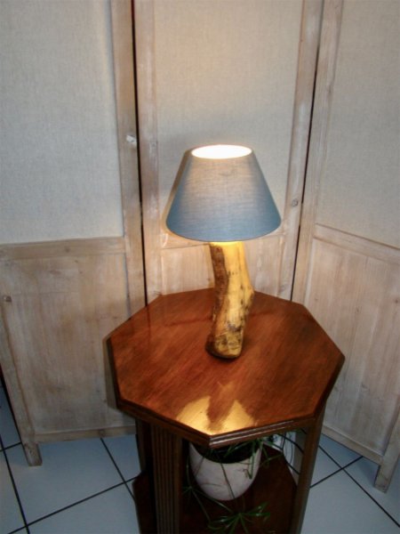 Boslamp, de natuur en haar wonderen 