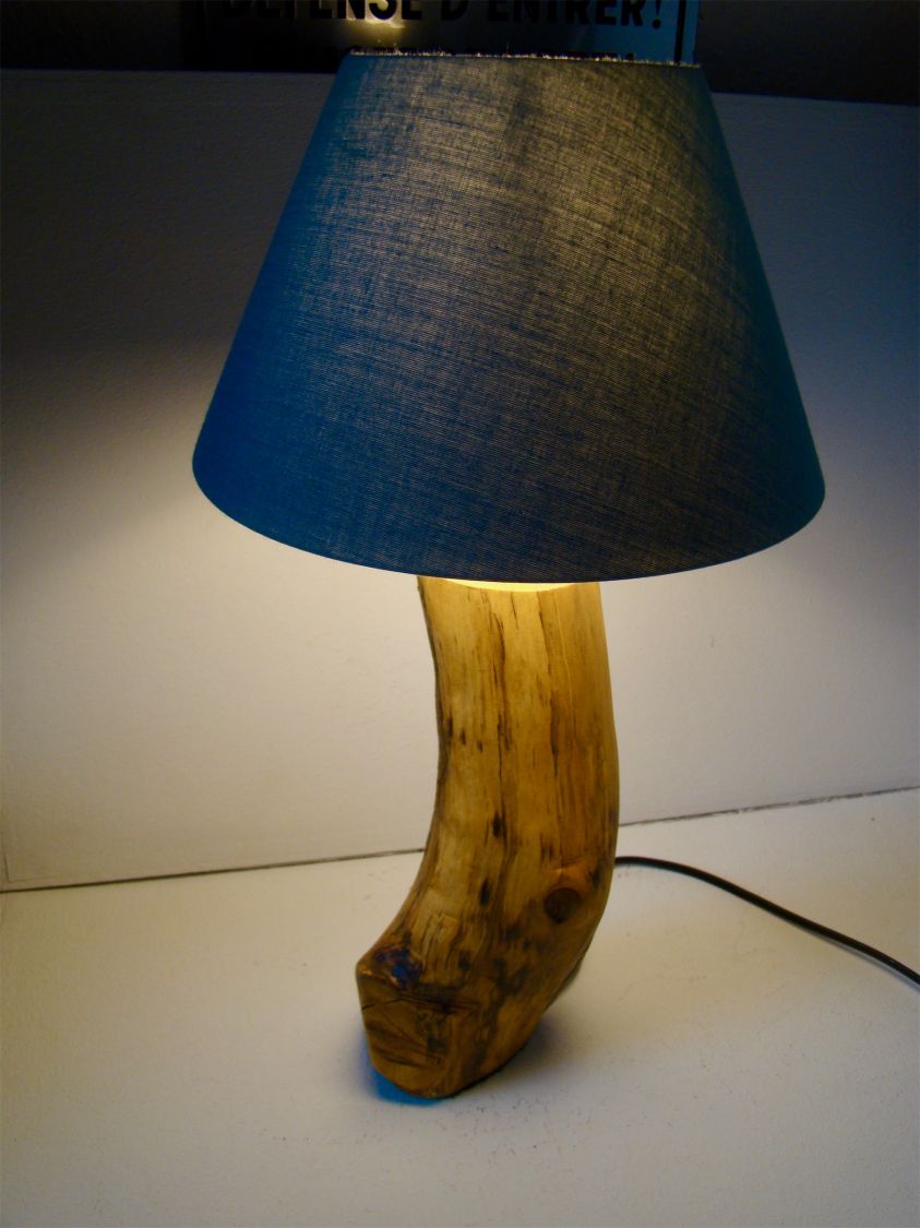 Boslamp, de natuur en haar wonderen 