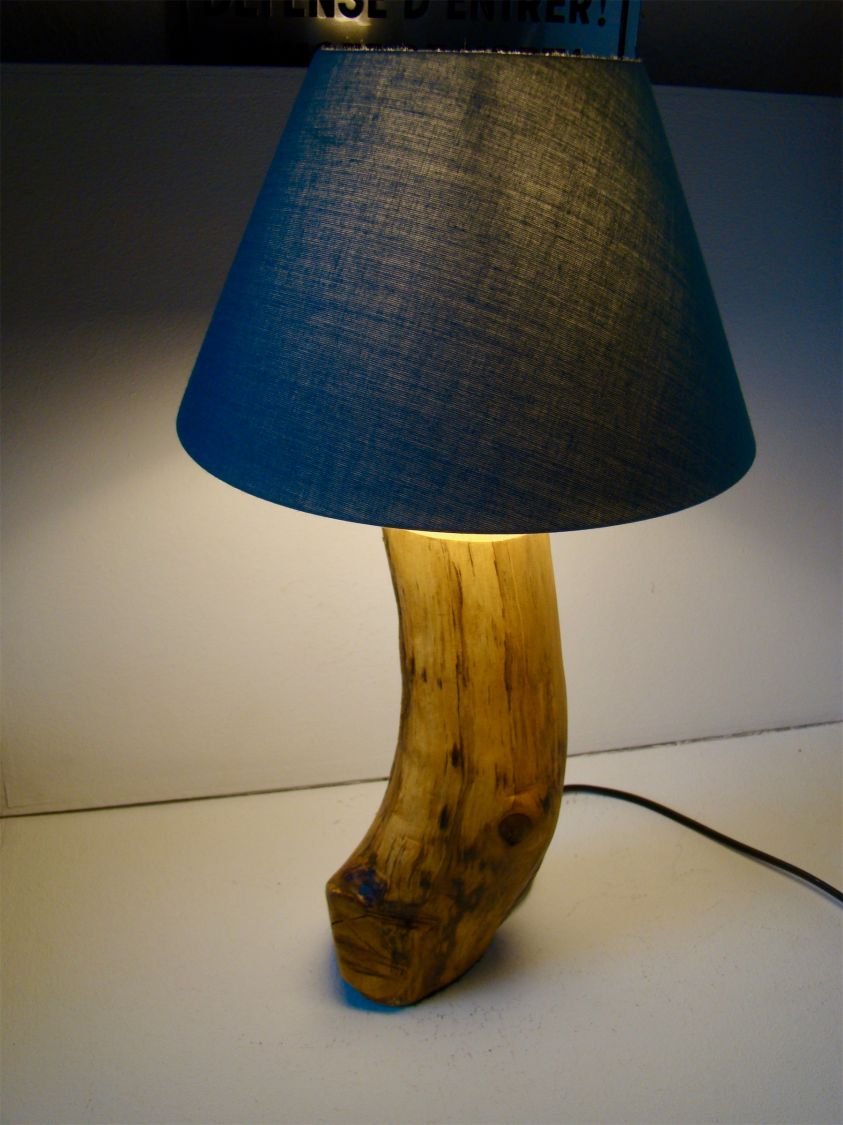 Boslamp, de natuur en haar wonderen 