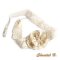 poederroze kanten hoofdband trouwaccessoire romantische hoofdband