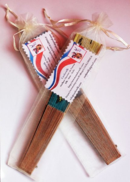 Mooie waaier van satijn katoen geheel met de hand beschilderd "Mexican Amate".