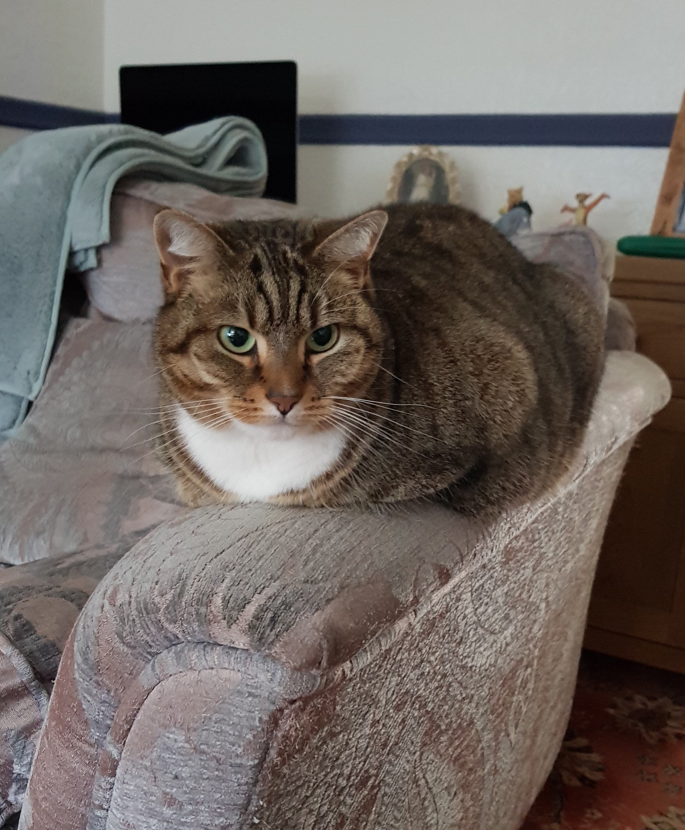 Une photo, votre &eacute;ventail, celui l&agrave; est en soie