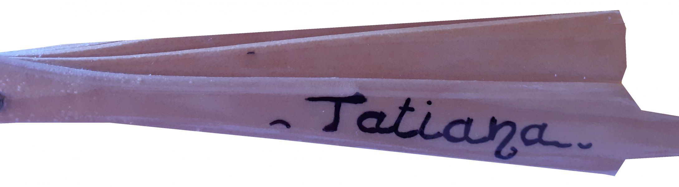 Mijn eerste handgetekende en geschilderde katoenen waaier "Cocci mini