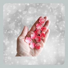 Souad - van wit naar roze - toegepaste bloem