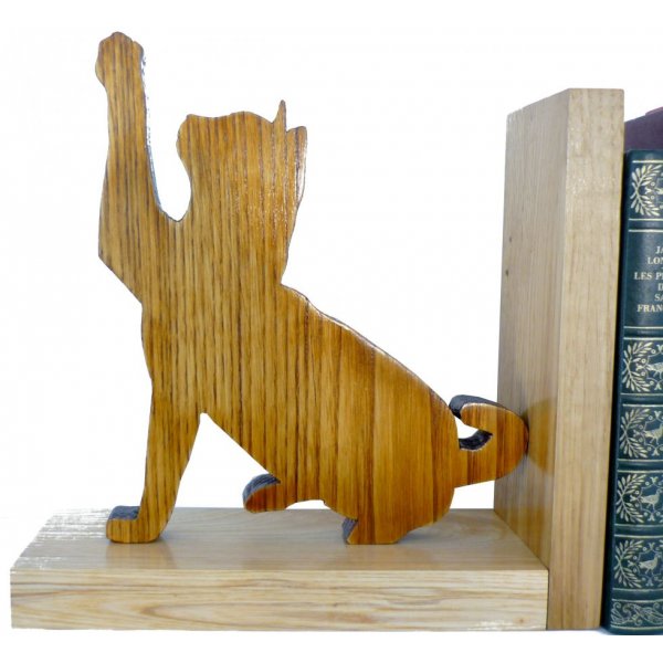 Massief houten boekenkast "Les Chats" in kastanje, essen en eiken.