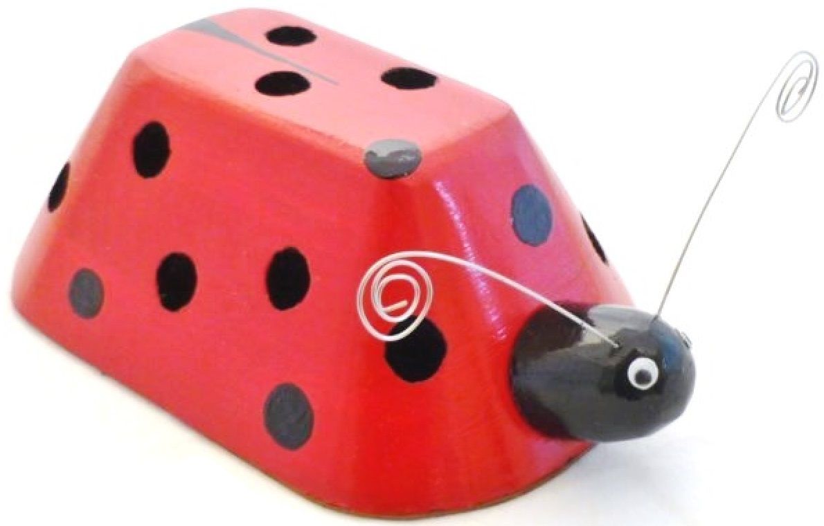 Kapstok en pennenbakje Lieveheersbeestje en blad
