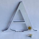 Decoratieve spiegel letter CENTURY