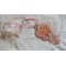 Koraal hanger ketting geborduurd met een metalen ster en gekweekte parels 
